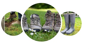 🌟✨ Lantern Parade 🌟✨