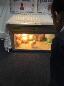 😎😎 FS2 Learning  😎😎