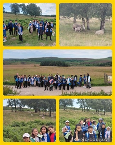 Y4 Peridot Peak District Visit