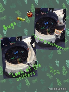 🐞🐞Outdoor Learning🐞🐞