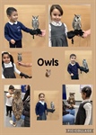 🦉🦉 Owls Visit to Early Years 🦉🦉