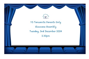 Y3 Tanzanite Showcase Assembly