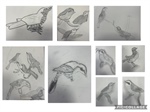 Y5 Amazing Artwork