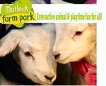 Y3 Trip to Matlock Farm Park