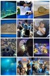 🌊🐠 FS2's Fantastic Trip to The Deep! 🐧🦈