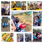 🦒🦒🦓🦓 Y1 Visit to Yorkshire Wildlife Park 🦒🦒🦓🦓