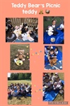 🌟🐻 Nursery Teddy Bear Picnic 🌟🐻