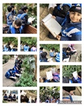 Y4 Winter Garden Visit