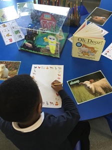 🐥🐓🐐Farm Life🐥🐓🐐