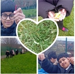 🐛🐛Creatures 🐛🐛