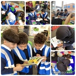 Happy Reading!